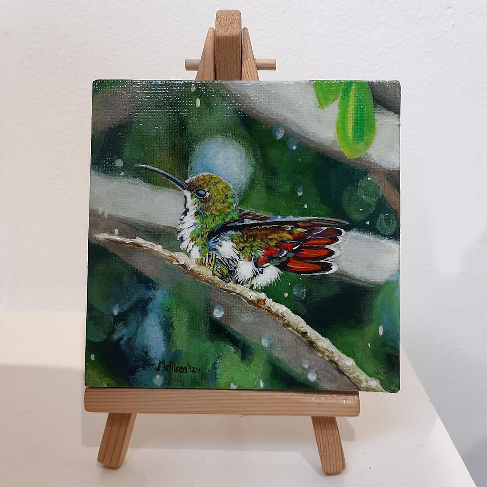 Mellisea Rattan-Karim, Black Throated Hummingbird