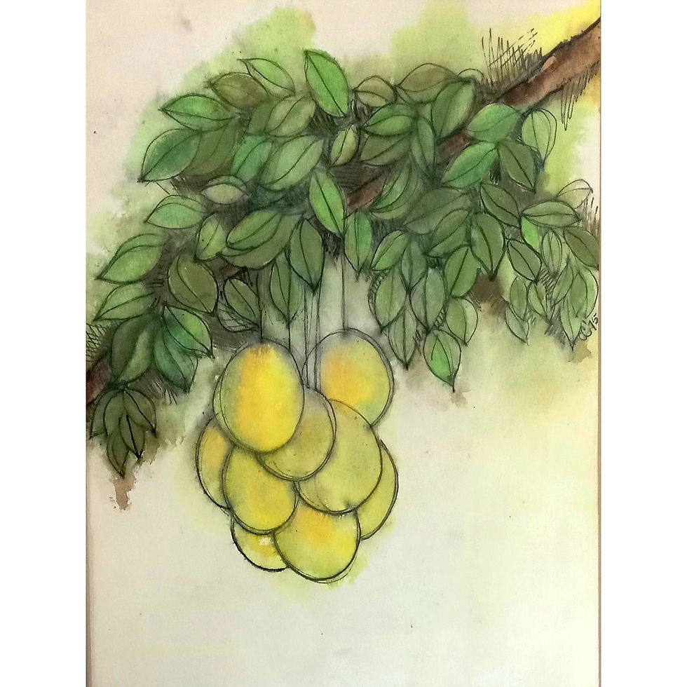 C.C. (artist unknown), Pommecyterre