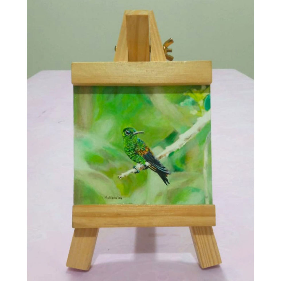 Mellisea Rattan-Karim, Copper-Rumped Hummingbird