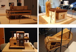 Ornithological Habitat