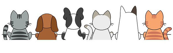 pet2.png