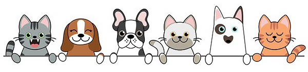 pet1.png