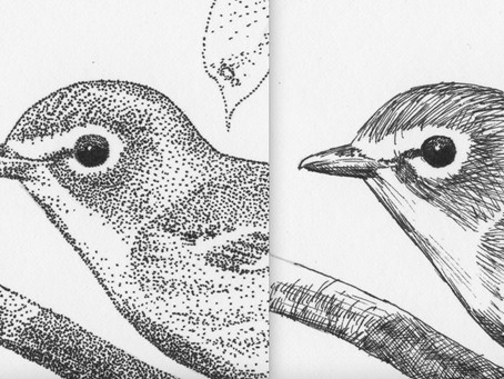 Experimenting with pen drawing