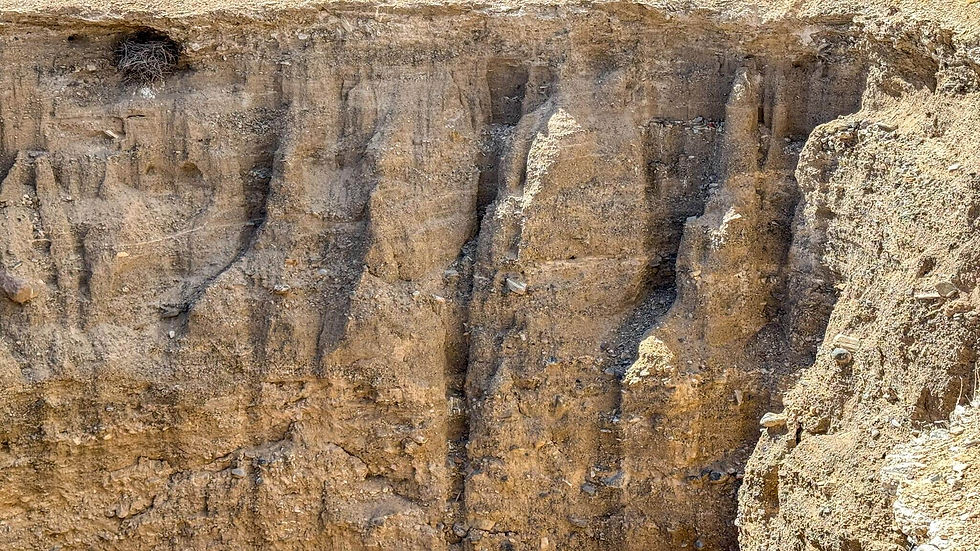 The eroded walls of the sinkhole