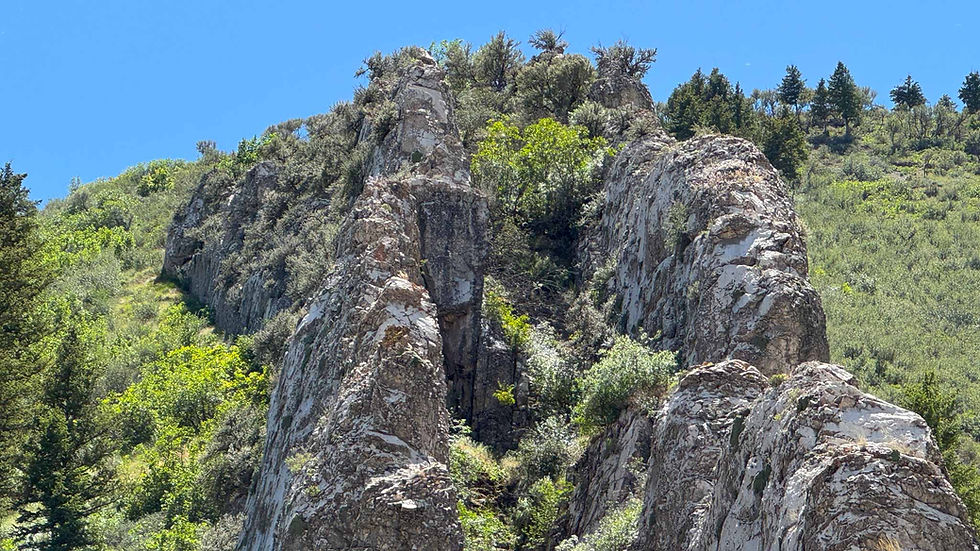 Sunlit rocky hillside with jagged gray cliffs and green trees under a clear blue sky.