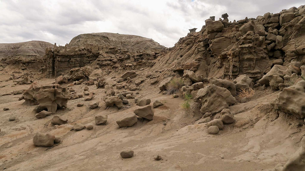 Bring a fully charged camera with lots of memory