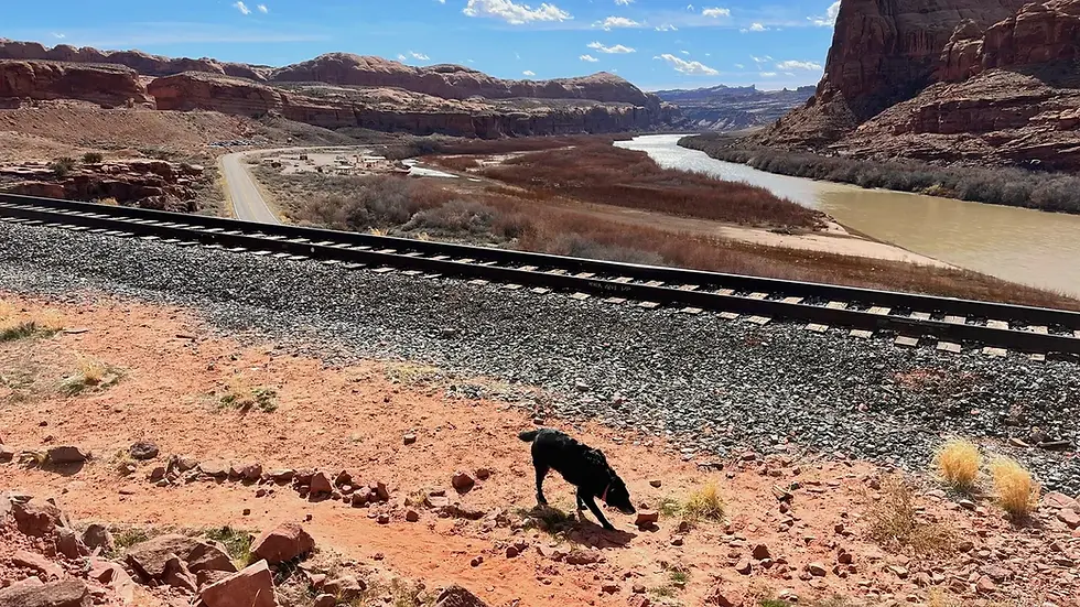 The train tracks at the beginning of the trail