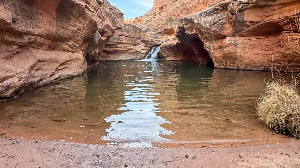 Small waterfall pouring into a calm pool in a red sandstone canyon, with rippling reflections and a dry, rocky foreground.