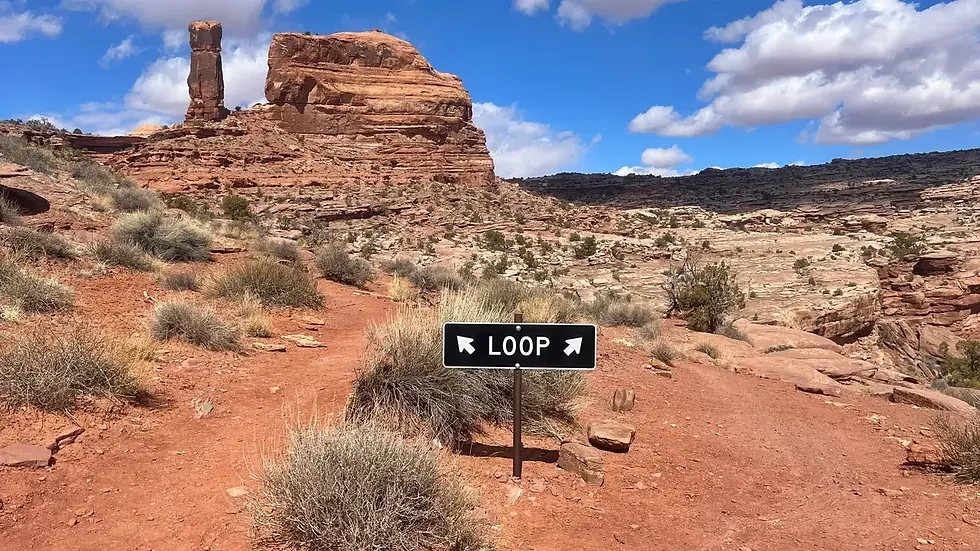 The Loop Sign on the Jeep Arch Trail