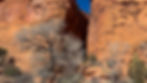 Looking at the slot canyon from the Burr Trail Road