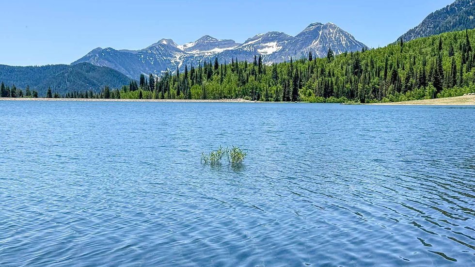 Mount Timpanogos in the background of Silver Lake Flat