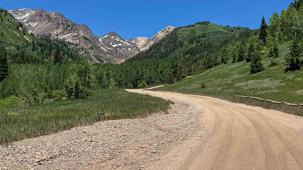 The dirt road leading to dispersed camping area