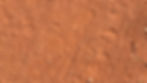 Shoe prints with zigzag patterns on reddish-brown dirt, scattered rocks, and twigs. Dry landscape with textured soil surface.