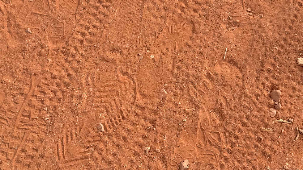 Shoe prints with zigzag patterns on reddish-brown dirt, scattered rocks, and twigs. Dry landscape with textured soil surface.
