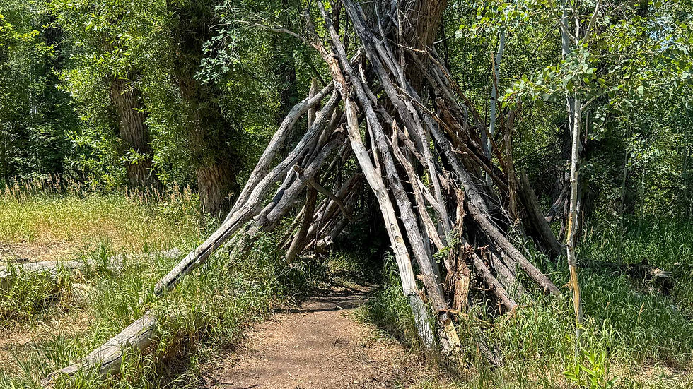 Teepee-like structure made of branches in a lush, green forest. Sunlight filters through leaves, creating a peaceful, natural setting.