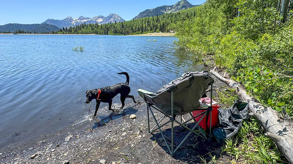 Our picnic spot along the shoreline