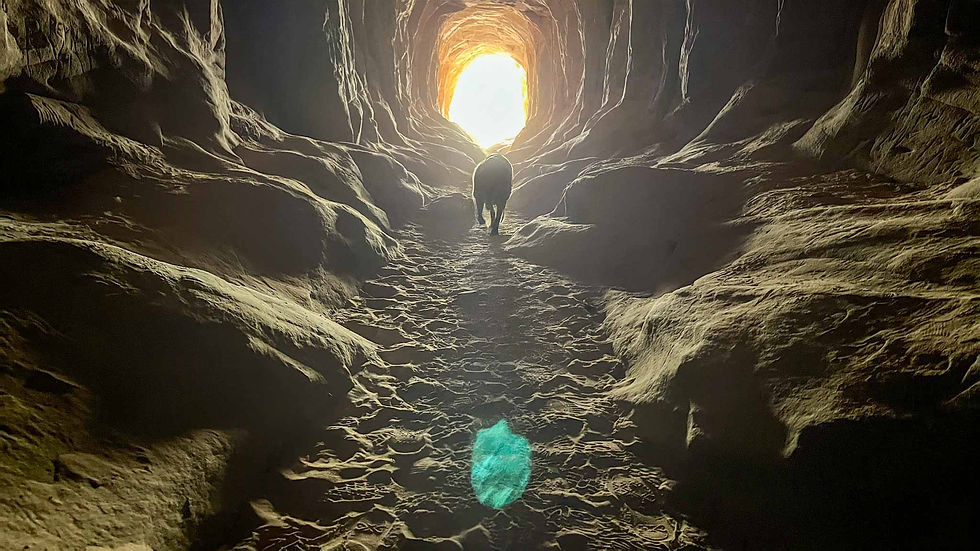 The light at the end of the tunnel