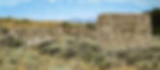 Ghost town of Manning