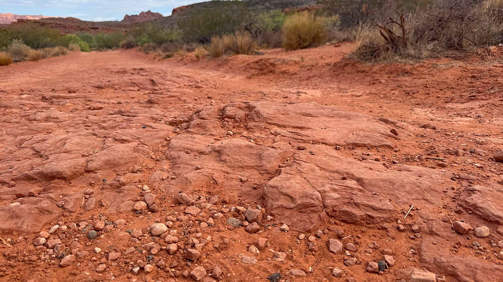 Rocky red dirt path in arid desert landscape, surrounded by sparse bushes and distant reddish hills under a cloudy sky.