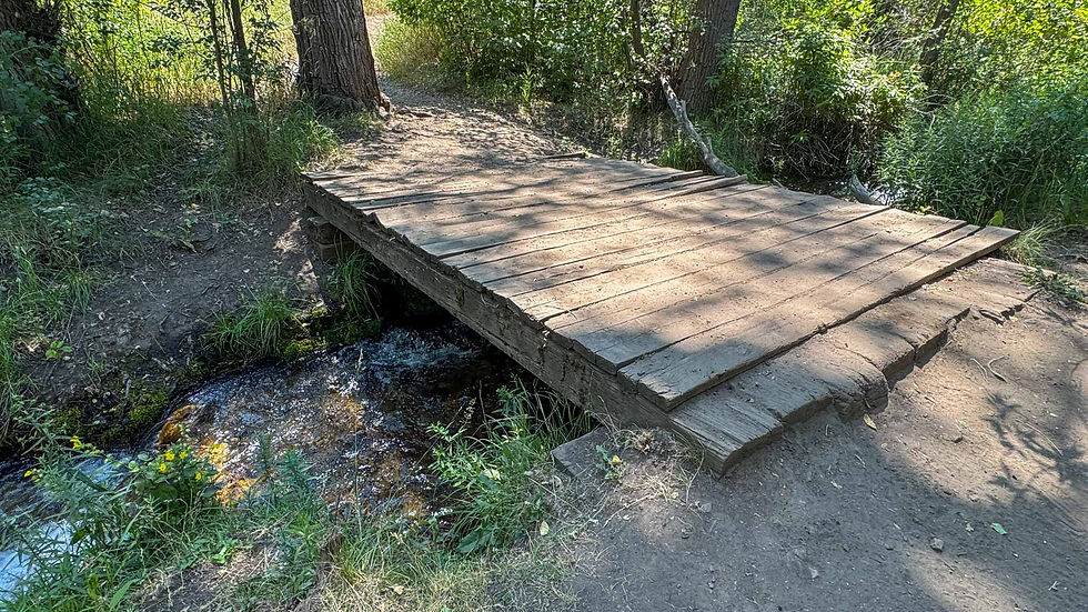 Wooden bridge over a small stream in a forest, surrounded by green foliage and sunlight casting shadows. Peaceful and rustic setting.