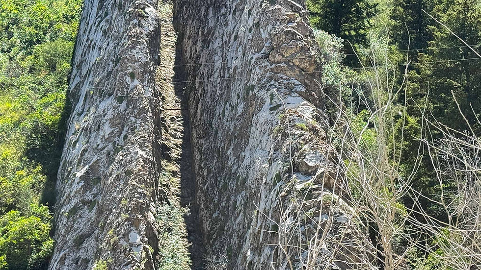 Sunlit rocky cliff split by a narrow crevice in a green forest, with thin wires crossing the view.
