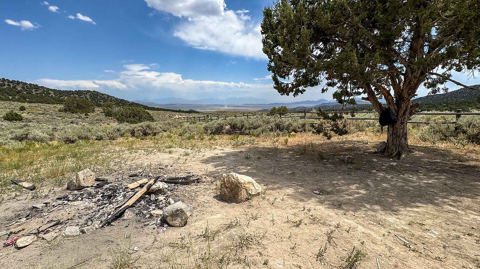 A nice peaceful spot to camp or take a nap