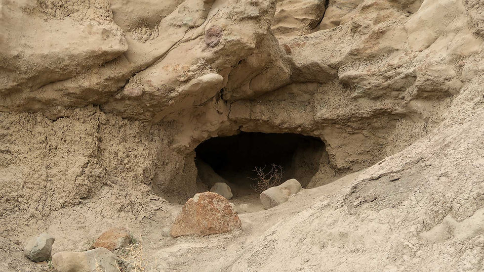 I don't know and I wasn't going to find out