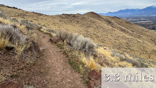 Rocky dirt trail winding through dry grassy hills under overcast sky. Mountains visible in distant horizon. Serene and open landscape.