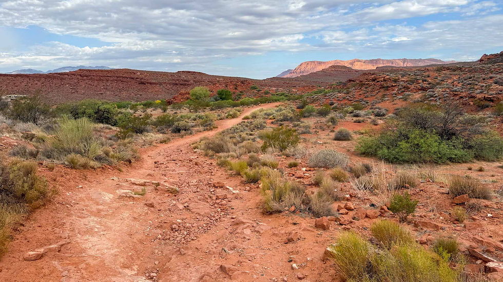 Rocky desert landscape with a winding red dirt path, sparse greenery, and distant mountains under a partly cloudy sky. Quiet and serene.