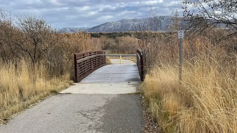 The bridge