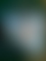 1.8 Research Local's Perspective of Biophilia