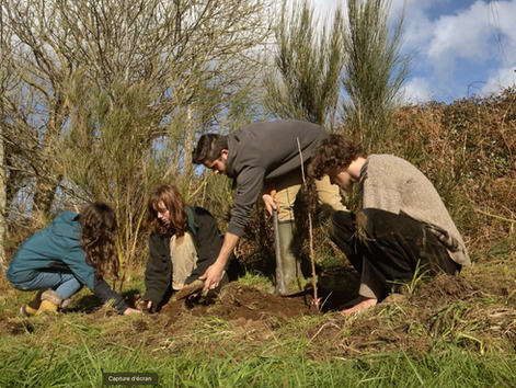 Début du jardin-forêt à Kerhastel