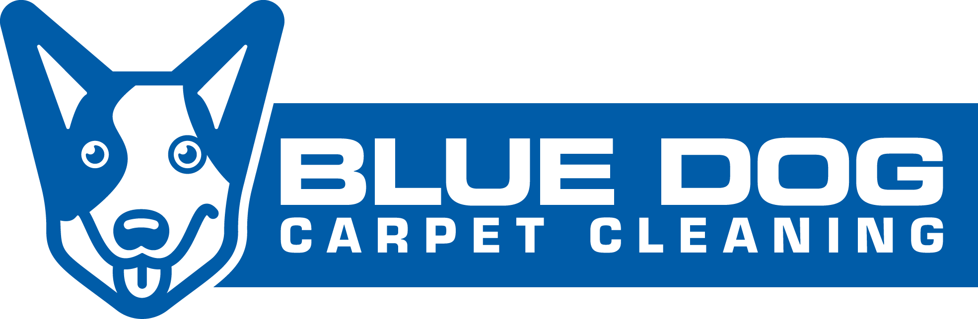 Blue Dog Carpet Cleaning Des Moines Iowa Professional Carpet Cleaning