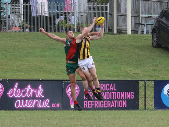 Tigers blitz Hawks at the bay