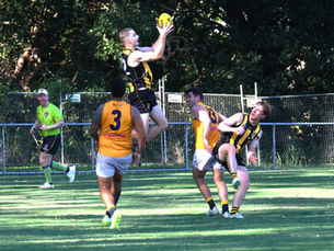 Tigers win scrappy affair over Pumas