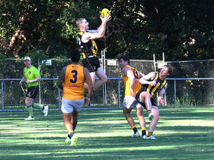 Tigers win scrappy affair over Pumas