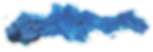 pintura para realizar protesis de anaplastologia