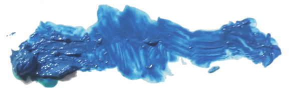 pintura para realizar protesis de anaplastologia