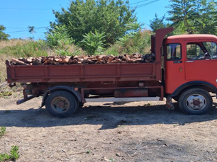 Dissequestrato camion trasportante materiale legnoso senza il FIR: accolto il ricorso e restituito il mezzo