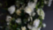 Artboard 5.jpg