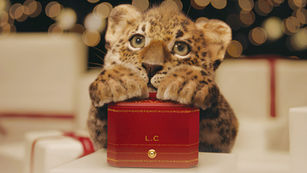 CARTIER|美洲豹眼中的夢幻節慶 卡地亞的經典奢華