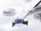 ree