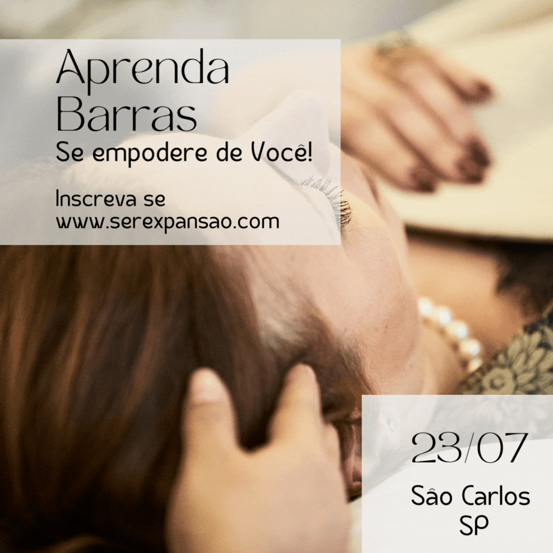 Aprenda as Barras de Access ® em São Carlos