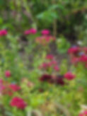 image5.jpeg