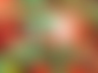 Smartproxy spills the beans on when you should buy holiday gifts