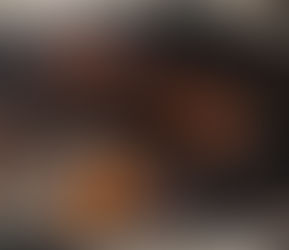 Big Green egg debuts Rotisserie accessory