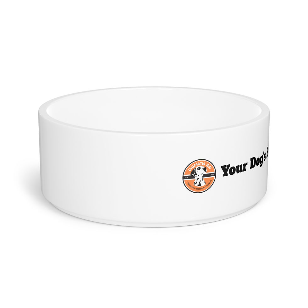 Thumbnail: Pet Bowl — "Your Dog's Home Away From Home" Ceramic Food & Water Dish