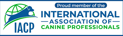 IACP Logo.png