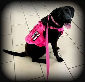 EAFB9B0A-DEDF-497A-A6DA-15A410499D7A (1).jpeg