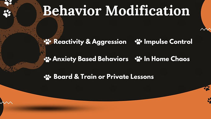 Behavior Modification/Rehabilitation